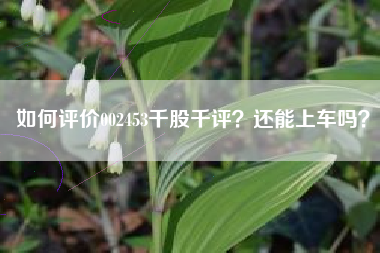 如何评价002453千股千评？还能上车吗？