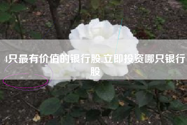 4只最有价值的银行股,立即投资哪只银行股