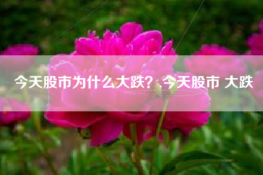 今天股市为什么大跌？,今天股市 大跌