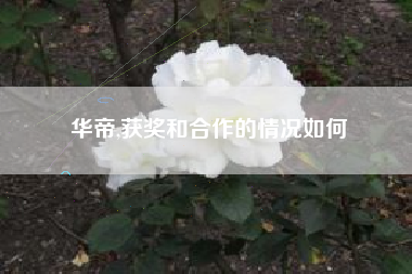 华帝,获奖和合作的情况如何