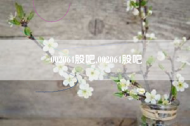 002064股吧,002064股吧