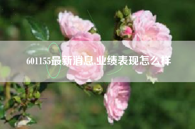 601155最新消息,业绩表现怎么样