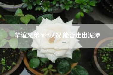 华谊兄弟2022状况,能否走出泥潭