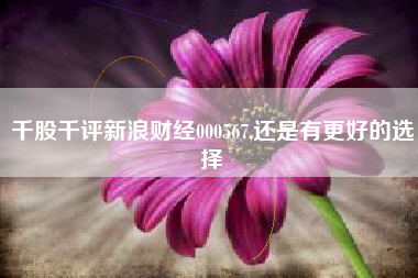 千股千评新浪财经000567,还是有更好的选择