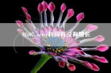 02607, nette利润有没有增长