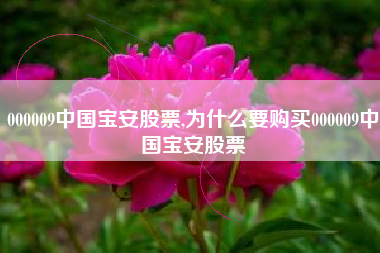 000009中国宝安股票,为什么要购买000009中国宝安股票