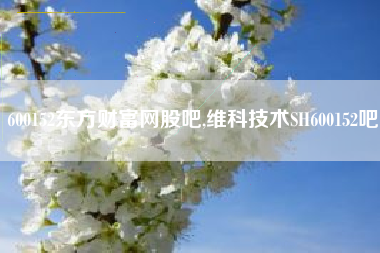 600152东方财富网股吧,维科技术SH600152吧