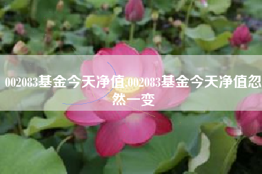 002083基金今天净值,002083基金今天净值忽然一变