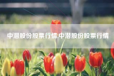 中潜股份股票行情,中潜股份股票行情