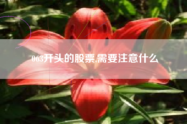 063开头的股票,需要注意什么