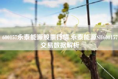 600157永泰能源股票行情,永泰能源SH600157交易数据解析