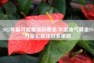 2022年最可能暴涨的基金,华宝油气基金VS万家宏观择时多策略