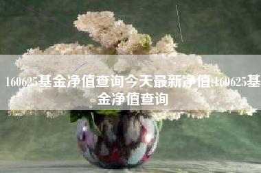 160625基金净值查询今天最新净值,160625基金净值查询