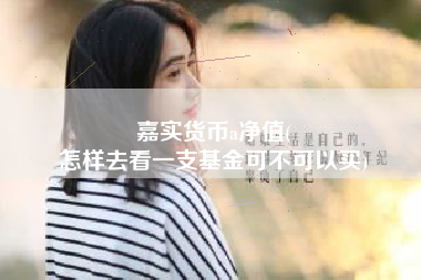 嘉实货币a净值(
怎样去看一支基金可不可以买)