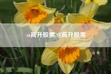 st高升股票,ST高升股票
