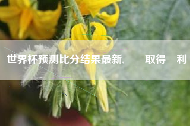 世界杯预测比分结果最新,艱難取得勝利