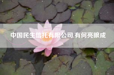 中国民生信托有限公司,有何亮眼成績