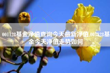 001128基金净值查询今天最新净值,001128基金今天净值走势如何