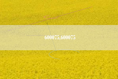 600075,600075