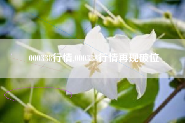 000338行情,000338行情再现破位
