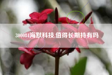 300084海默科技,值得长期持有吗