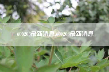 600208最新消息,600208最新消息