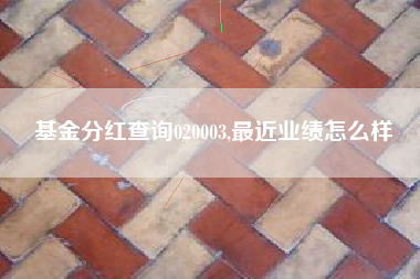 基金分红查询020003,最近业绩怎么样