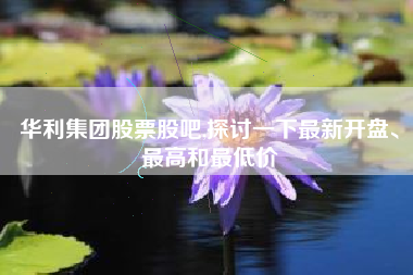 华利集团股票股吧,探讨一下最新开盘、最高和最低价