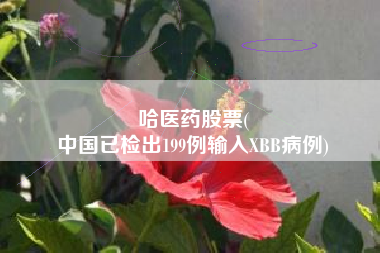 哈医药股票(
中国已检出199例输入XBB病例)