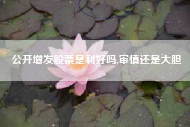 公开增发股票是利好吗,审慎还是大胆