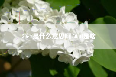 50etf是什么意思啊,50etf是啥