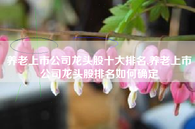 养老上市公司龙头股十大排名,养老上市公司龙头股排名如何确定