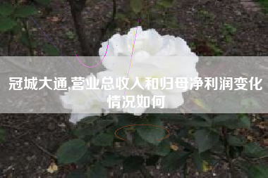 冠城大通,营业总收入和归母净利润变化情况如何