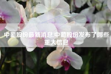 中葡股份最新消息,中葡股份发布了哪些重大信息