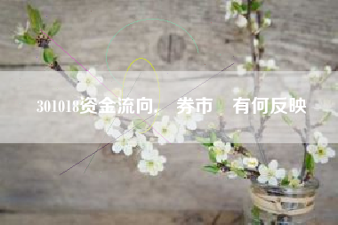 301018资金流向,證券市場有何反映