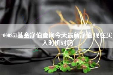 000251基金净值查询今天最新净值,现在买入时机对吗