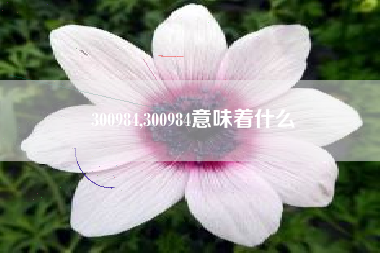 300984,300984意味着什么