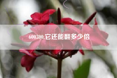 600300,它还能翻多少倍