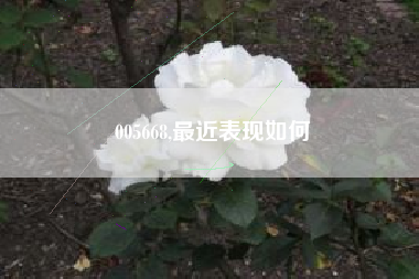 005668,最近表现如何