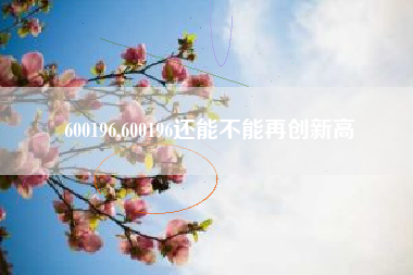 600196,600196还能不能再创新高
