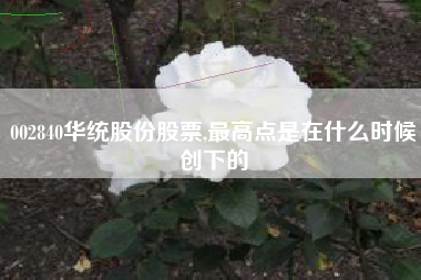 002840华统股份股票,最高点是在什么时候创下的