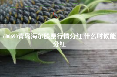600690青岛海尔股票行情分红,什么时候能分红