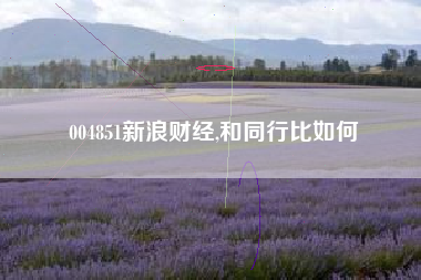 004851新浪财经,和同行比如何