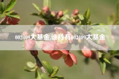 002409大基金,谁持有002409大基金