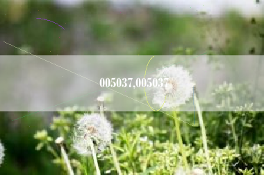 005037,005037