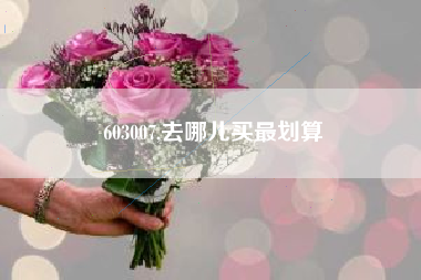 603007,去哪儿买最划算