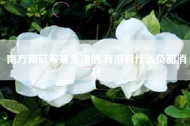 南方新蓝筹基金净值,有没有什么负面消息