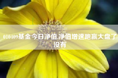 010409基金今日净值,净值增速跑赢大盘了没有