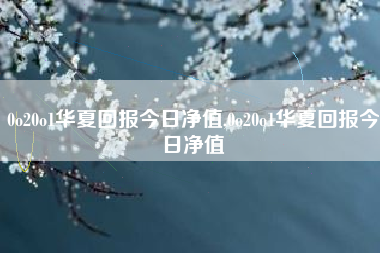 0o20o1华夏回报今日净值,0o20o1华夏回报今日净值