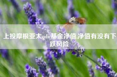 上投摩根亚太qdii基金净值,净值有没有下跌风险
